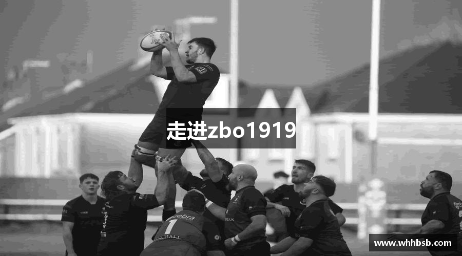 走进zbo1919